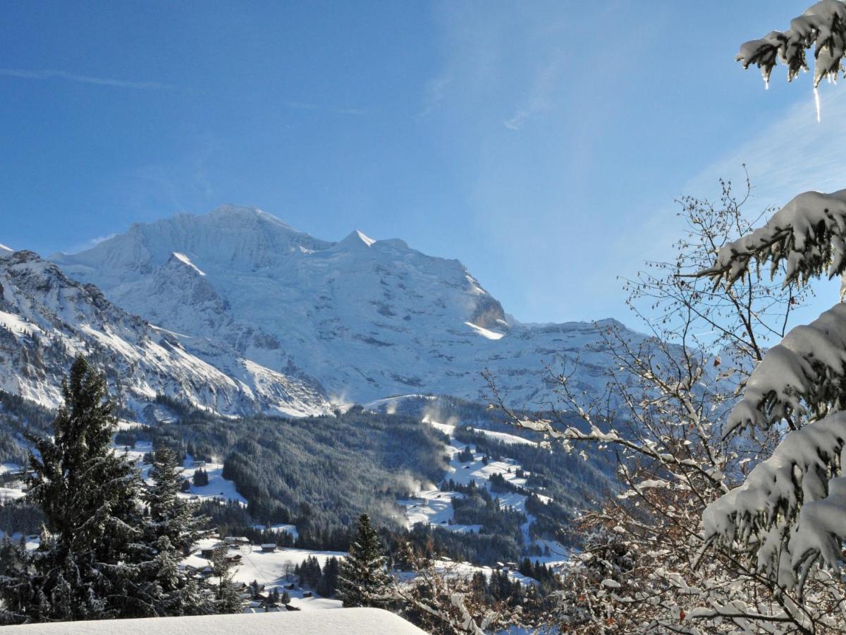 Apartment Goldenhorn Apt-F By Interhome Wengen Eksteriør bilde