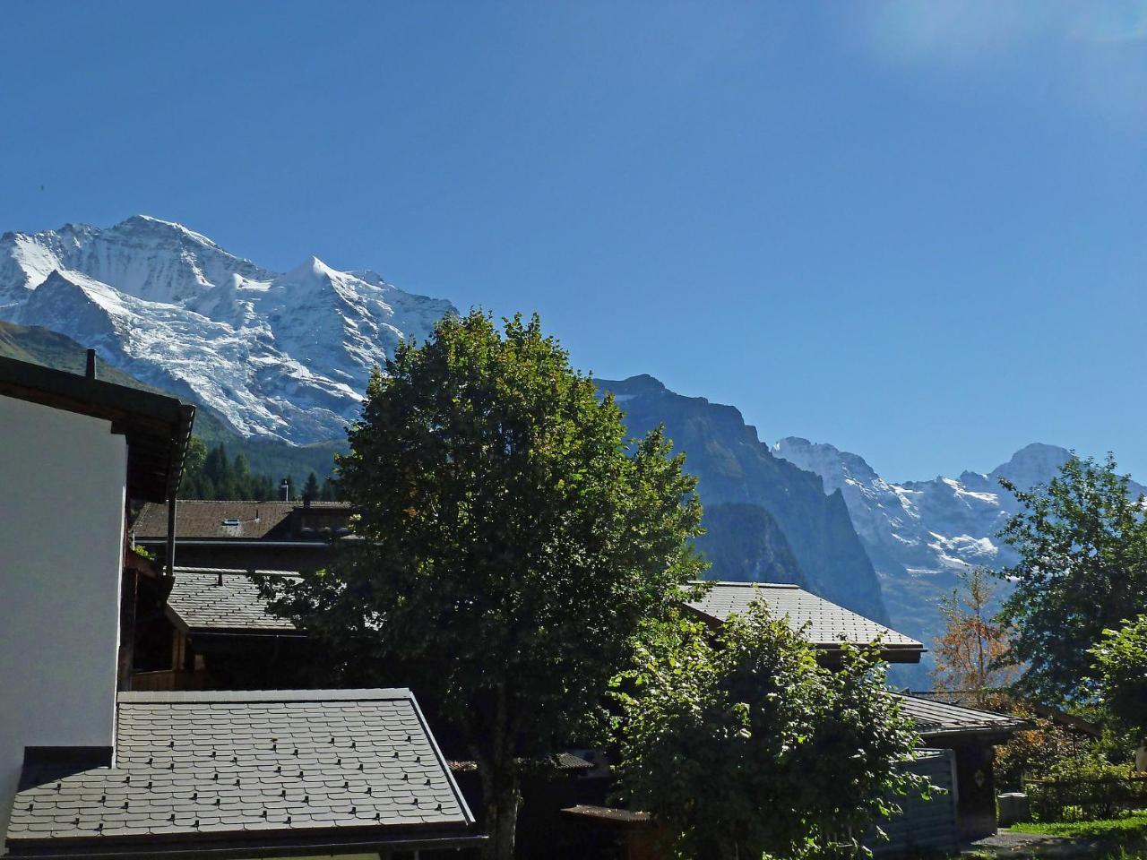 Apartment Goldenhorn Apt-F By Interhome Wengen Eksteriør bilde